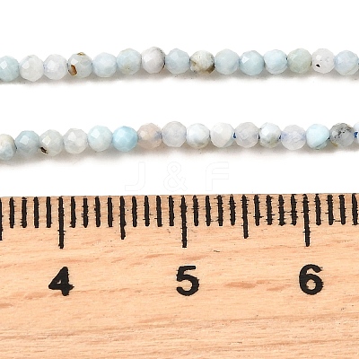 Natural Larimar Beads Strands G-G259-D13-2mm-1