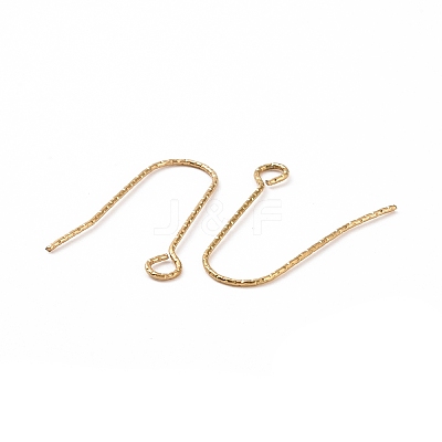 Ion Plating(IP) 316 Stainless Steel Earring Hooks STAS-C059-10G-1