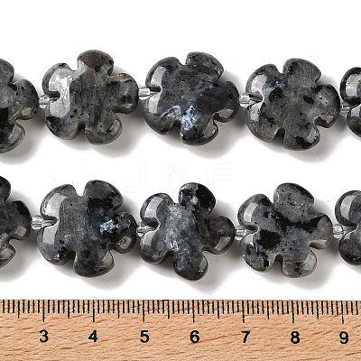 Natural Larvikite Beads Strands G-L241A-21-1
