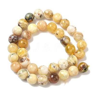 Natural Yellow Opal Beads Strands G-I213-18-10mm-1