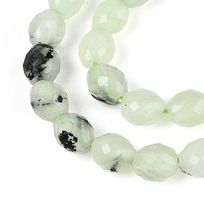 Natural Prehnite Beads Strands G-T142-82-1