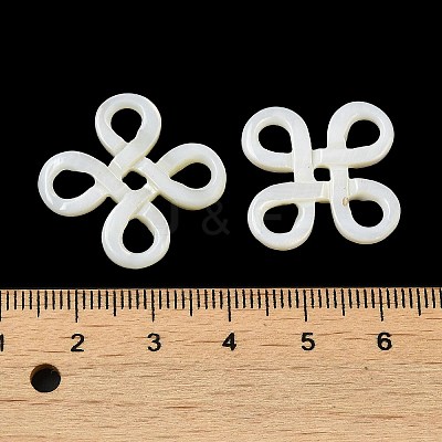 Natural White Shell Cabochons SSHEL-M022-18-1