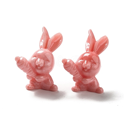 Opaque Resin Home Display Decorations RESI-G060-02-1