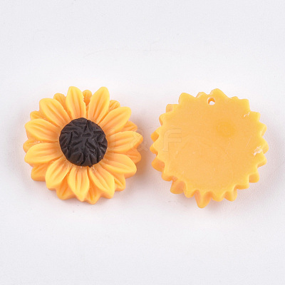 Resin Pendants CRES-T010-58B-1