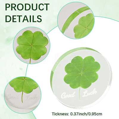Acrylic Cabochons OACR-WH20008-02-1