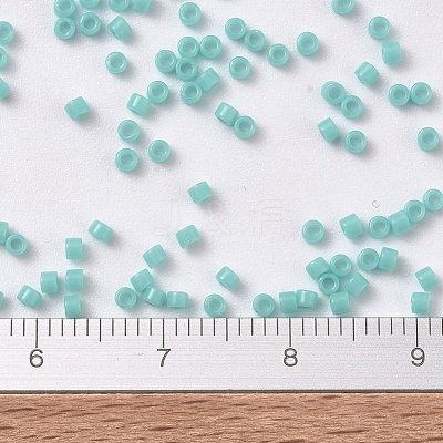 MIYUKI Delica Beads SEED-X0054-DB1136-1