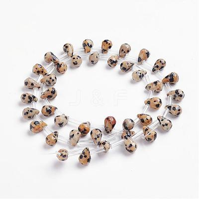 Natural Dalmatian Jasper Beads Strands G-J360-08-1