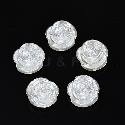 ABS Plastic Imitation Pearl Beads LS-OACR-N008-142-1