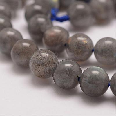 Natural Labradorite Bead Strands G-P259-03-8mm-1