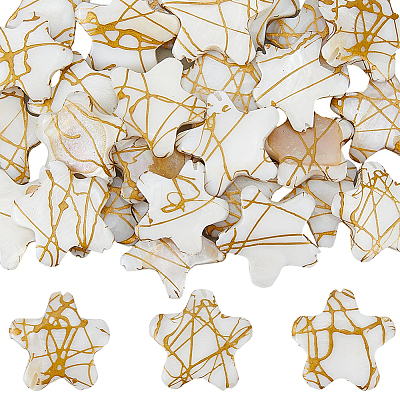 30Pcs Drawbench Style Natural Freshwater Shell Beads Strands BSHE-PA0001-05-1