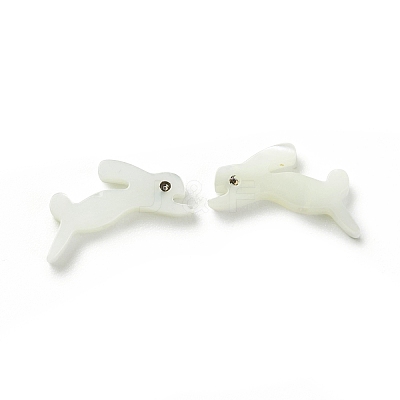 Natural Trochid Shell/Trochus Shell Beads SSHEL-K027-15-1