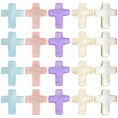 60Pcs Natural Freshwater Shell Beads SSHEL-SC0001-40-1