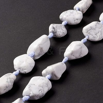 Natural Howlite Beads Strands G-B024-07-1