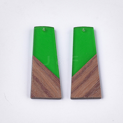 Resin & Walnut Wood Pendants X-RESI-S358-83E-1