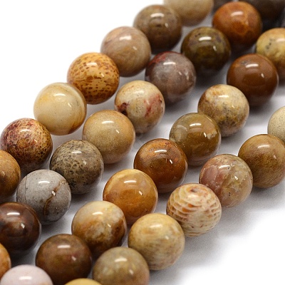 Natural Fossil Coral Beads Strands X-G-G763-12-6mm-1