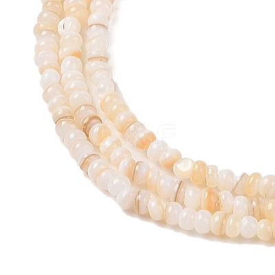 Natural Freshwater Shell Beads Strands SHEL-P017-01A-10-1