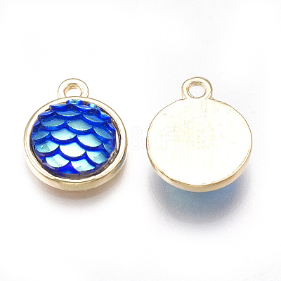 Alloy Resin Charms PALLOY-T056-24B-1
