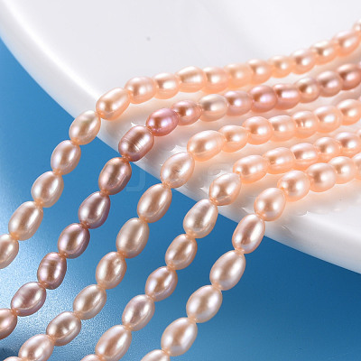 Natural Cultured Freshwater Pearl Beads Strands PEAR-N012-02C-1