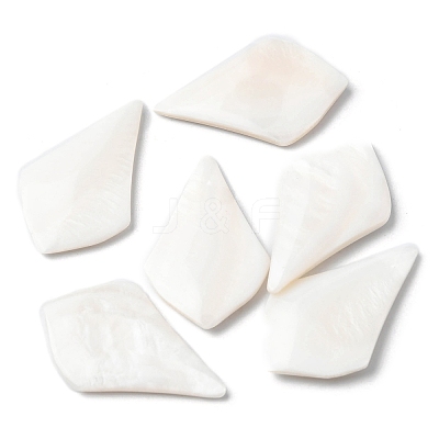 Natural Freshwater Shell Cabochons SHEL-K006-04-1