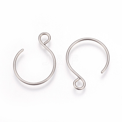 Tarnish Resistant 304 Stainless Steel Earring Hooks X-STAS-L216-02B-P-1