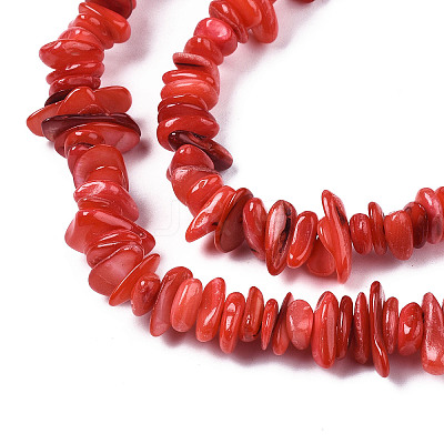 Natural Freshwater Shell Beads Strands SHEL-S278-071-1