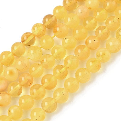 Natural Amber Beads Strands G-L095-B01-6mm-01-1