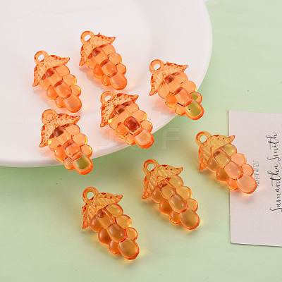 Autumn Theme Transparent Acrylic Beads TACR-S154-60B-921-1