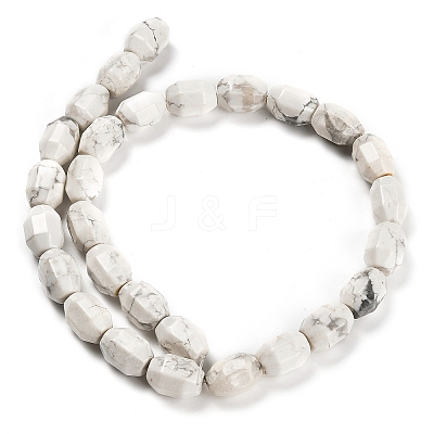 Natural Howlite Beads Strands G-F781-A03-01-1