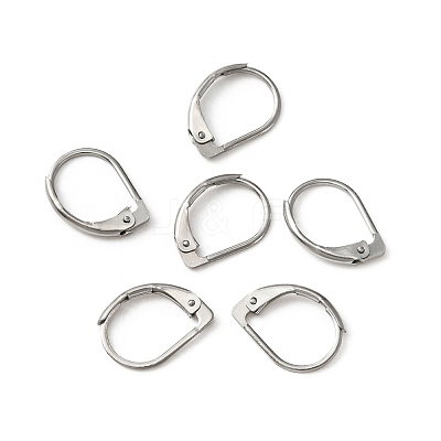 316 Surgical Stainless Steel Leverback Earring Findings STAS-WH0022-67-1