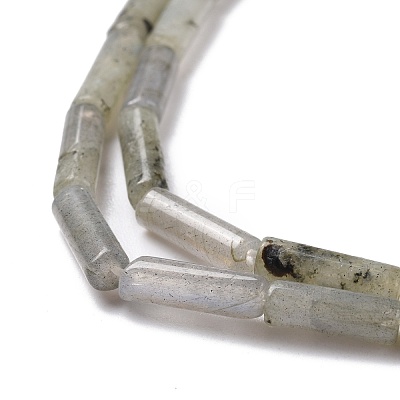 Natural Labradorite Beads Strands G-D464-08-1