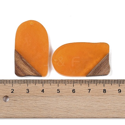Resin & Wood Pendants WOOD-F015-13E-1
