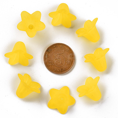 Transparent Acrylic Beads PLF018-19-1