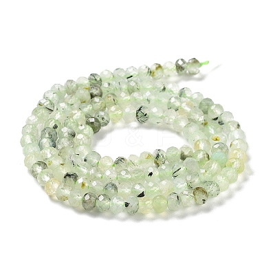 Natural Prehnite Beads Strands G-J400-C05-02-1