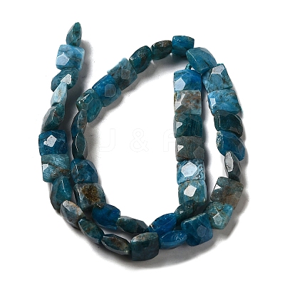 Natural Apatite Beads Strands G-C109-A13-02-1