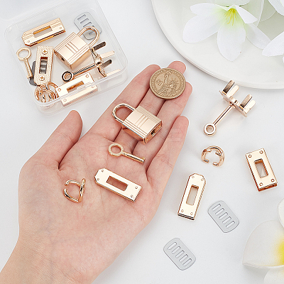 2 Sets Alloy Bag Lock Clasp Set FIND-WR0006-89-1