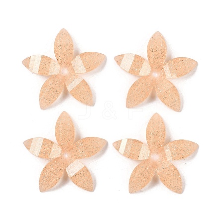 Epoxy Resin Glitter Powder Decoden Cabochons CRES-S367-04-1