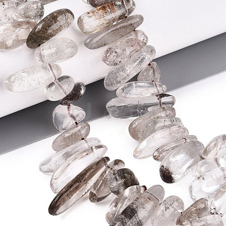 Natural Green Lodolite Quartz/Garden Quartz/Green Phantom Quartz Beads Strands G-N362-16A-01-1
