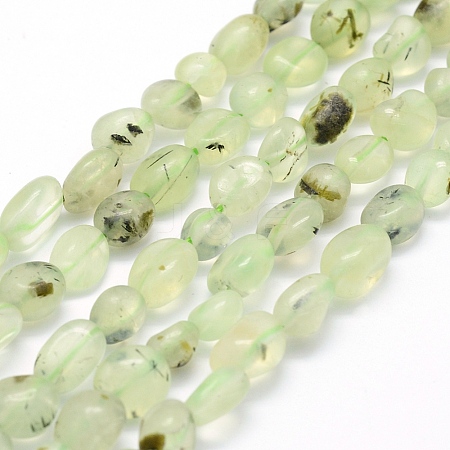 Natural Prehnite Beads Strands G-K230-20-1