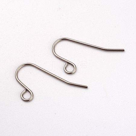 Tarnish Resistant 316L Surgical Stainless Steel Earring Hooks X-STAS-G229-08P-02-1