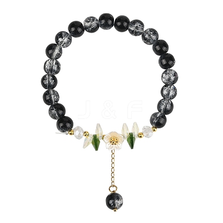 Glass Bead Charm Bracelets BJEW-YW00007-05-1
