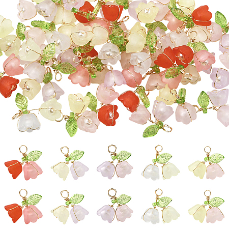 50Pcs Two Tone Acrylic Pendants FIND-SC0019-74-1