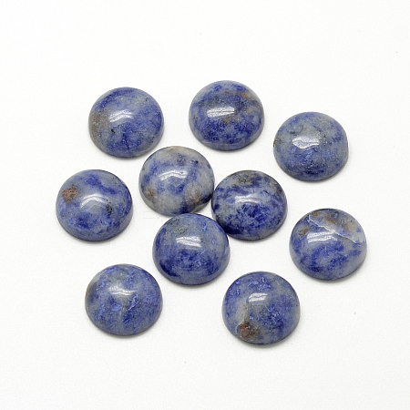 Natural Blue Spot Jasper Cabochons G-R416-10mm-45-1