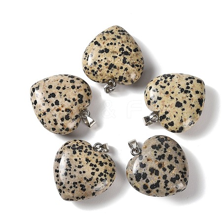 Natural Dalmatian Jasper Pendants GG-CBAA0EE-04P-17-1