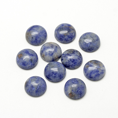 Natural Blue Spot Jasper Cabochons G-R416-12mm-45-1