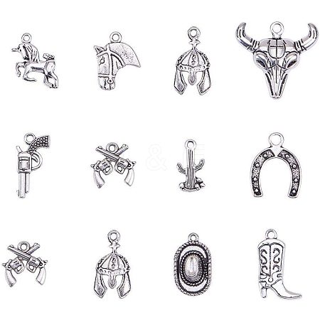 Western Charms Tibetan Style Alloy Pendants TIBEP-PH0001-05AS-1