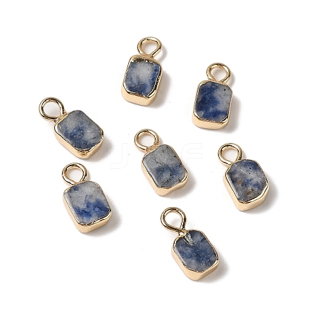 Natural Blue Spot Jasper Rectangle Charms G-Q169-07G-02-1