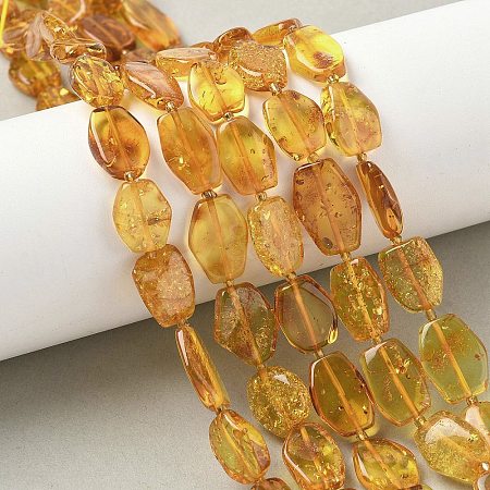 Natural Amber Beads Strands G-L095-C01-05-1