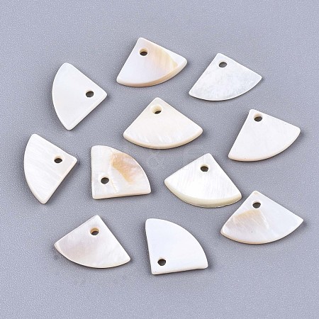 Natural Freshwater Shell Charms X-SHEL-S276-113-1