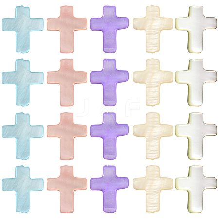 60Pcs Natural Freshwater Shell Beads SSHEL-SC0001-40-1