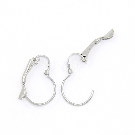 Tarnish Resistant 304 Stainless Steel Leverback Earring Findings STAS-O033-02-1